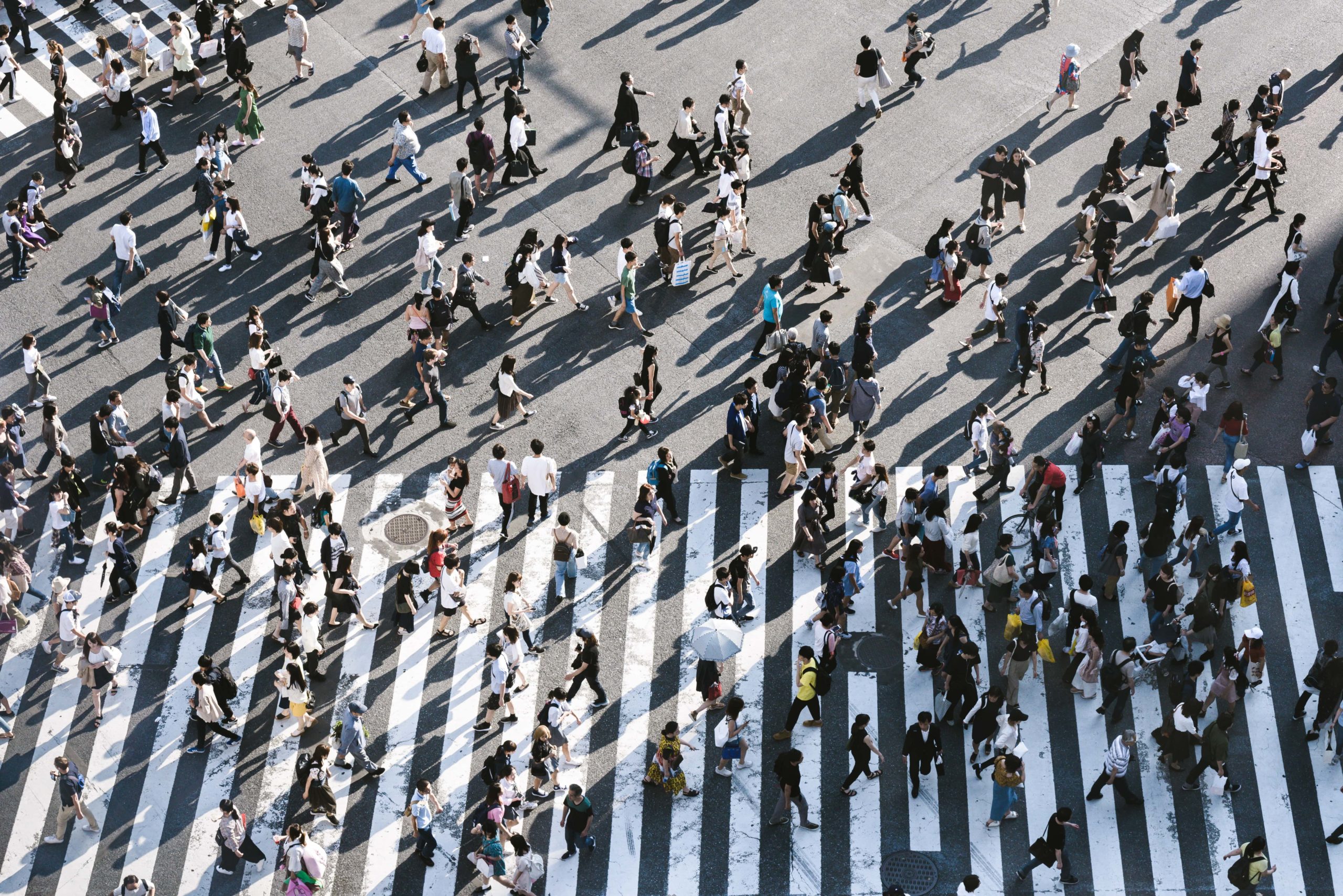 Large group of people on pedestrian crossing.